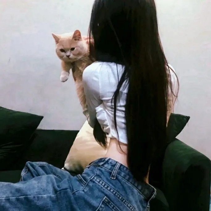 李佩西与五大王国的守护者